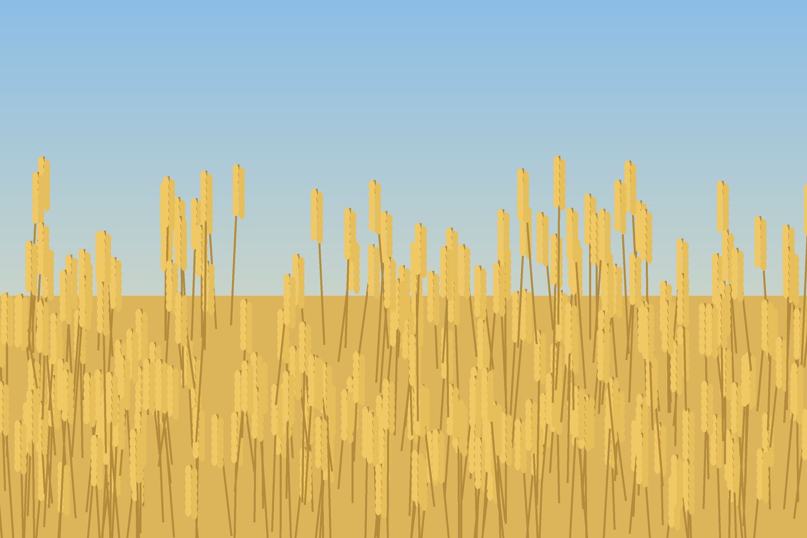 Хлебное поле