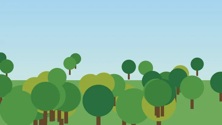 Волонтёры высадили тысячу деревьев вдоль трассы